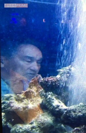 自宅マンションに元Jr.を呼び入れた、水槽に映るジャニー喜多川氏。性加害により、死者まで出す結果に……