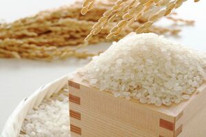 写真はイメージです