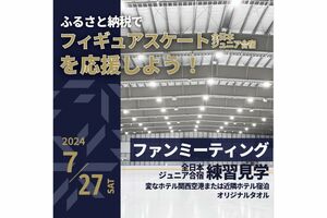 泉佐野市ふるさと納税寄付サイトより