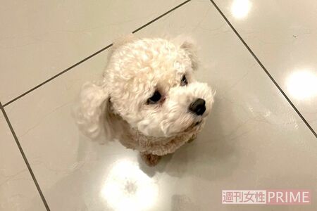 必死に目をそらす、つまみ食いの犯人・福　撮影／加藤綾菜