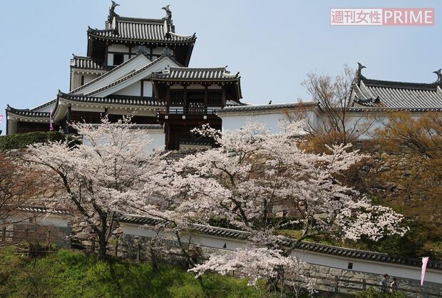 福知山城の天守閣は、市民たちの熱意で昭和61年に復元されたもの（写真提供福知山市）