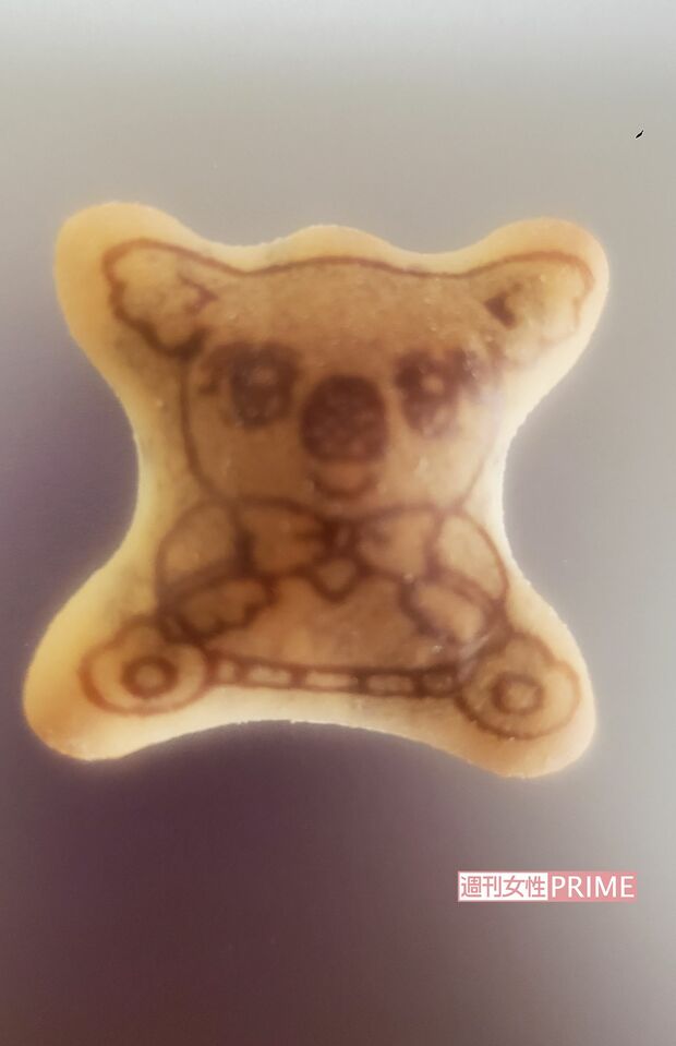 少女マンガコアラ