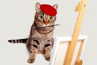 【心理診断】暇な時どうする? 選ぶものでわかる「○○系女子」