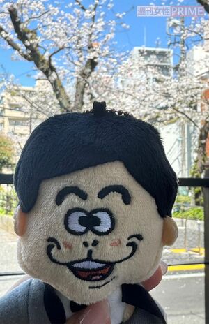 写真提供／加藤綾菜