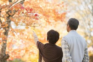 ※写真はイメージです