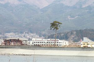 「奇跡の一本松」（陸前高田市、2011年3月29日〜4月1日））