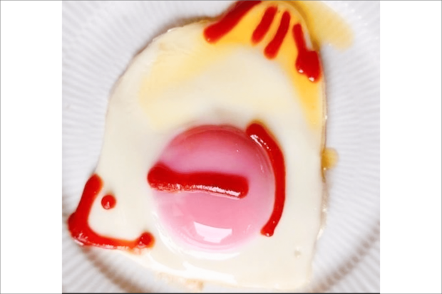 あ〜素敵な夢見たわ（大地真央・本人公式インスタグラムより）