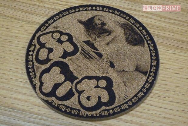 新作のぶさおコースター