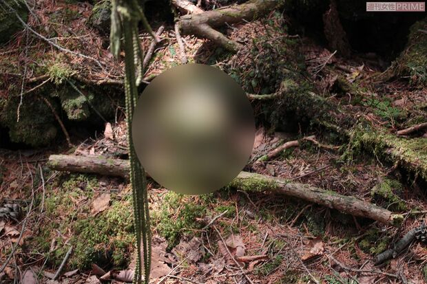 樹海内には自殺者の遺体が白骨化した状態で発見されることが多い