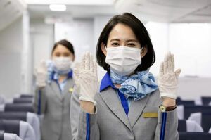 コロナ禍の客室乗務員はマスク＆手袋がデフォルト　※画像は『ANA』公式Facebookより