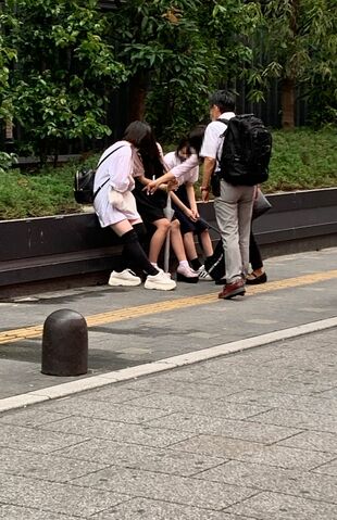 補導員が定期的に巡回しているが、効果はあまりない