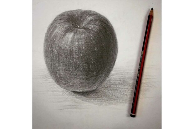 まるで写真のような鉛筆アート
