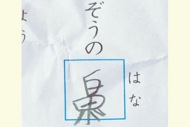 イメージは合ってる!?　直すのがもったいない　撮影／カワムラヒサコ