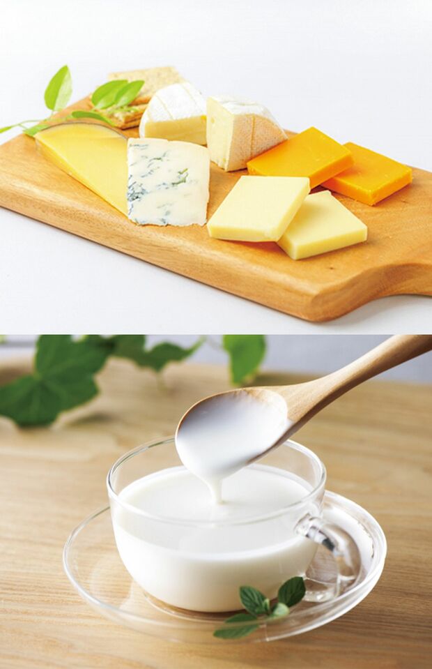 ※画像はイメージです