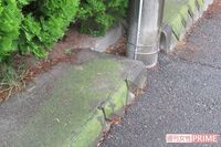 <中学教師逮捕>落し物のリュックから大麻、持ち主は「優しい先生」だった