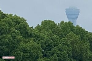 晴れていればマンション近くには大きな公園があるなど恵まれた住環境だった