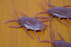 ※写真はイメージです