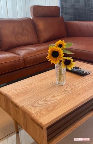 加トちゃんが喜んでくれたソファ!　2人でゆったり座れるね