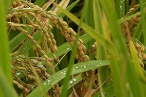 ※写真はイメージです