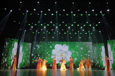 中国の音楽グループ・女子十二楽坊