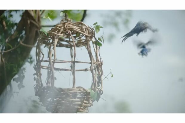 削除されたインコが飛び立つシーン（淡麗グルーンラベルCMより）