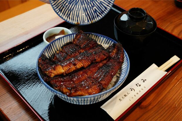 愛知県西尾市の返礼品、一色産うなぎはボリューミーで味もトップレベル