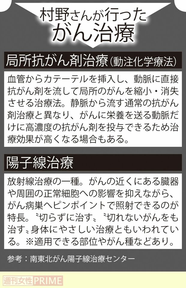 「村野さんが行ったがん治療」参考：南東北がん陽子線治療センター