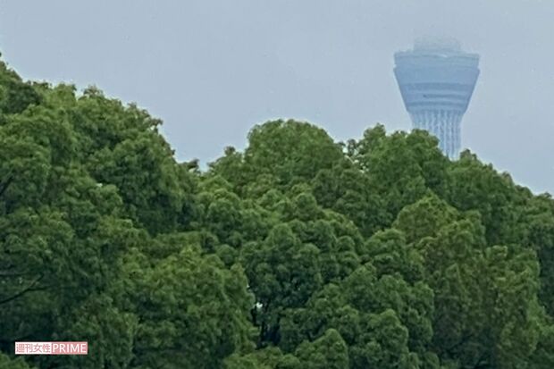 晴れていればマンション近くには大きな公園があるなど恵まれた住環境だった