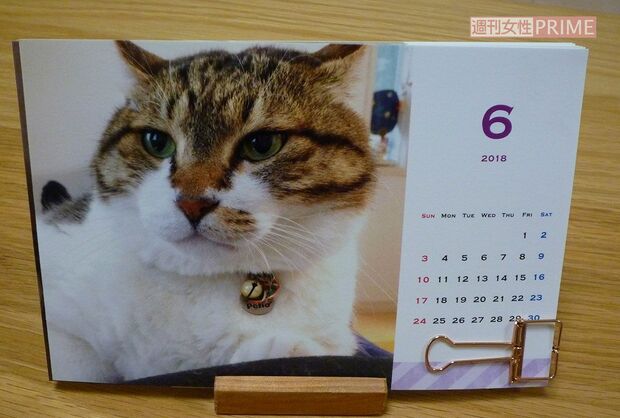 ぶさおの卓上カレンダー