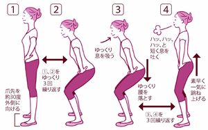 骨盤底筋を鍛えるエクササイズ　イラスト／上田惣子