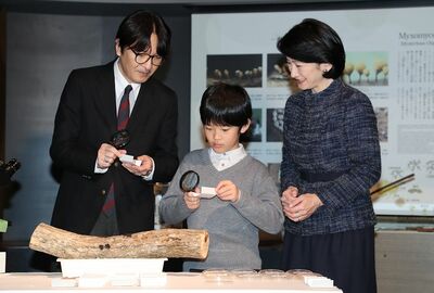 '17年12月、和歌山県の南方熊楠記念館にて。