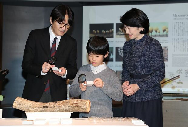 '17年12月、和歌山県の南方熊楠記念館にて。