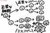 イラスト/大塚さやか