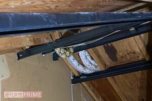 アミメニシキヘビは屋根裏にいた（協力／体感型動物園iZoo）