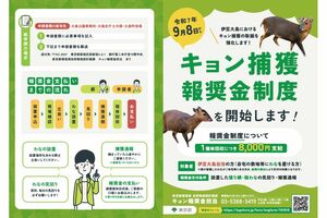 東京都のキョン捕獲の報奨金について（環境局の公式サイトより）