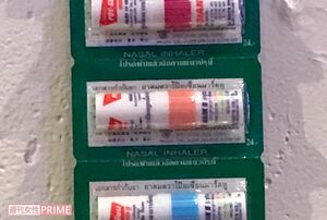 これがヤードムだ！