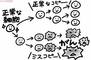 イラスト／大塚さやか