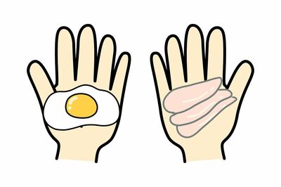 1日に必要なタンパク質量は両手に1杯　片手に卵なら1個、ささみは3～4枚でOK