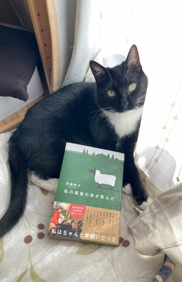 河崎さんの愛猫　画像提供／小学館