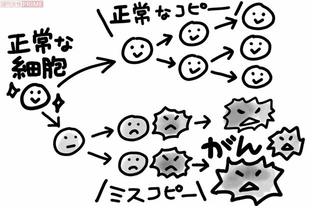 イラスト／大塚さやか