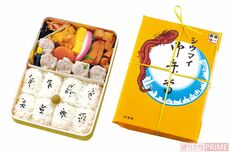 崎陽軒のシウマイ弁当