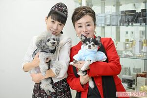 愛犬家のおふたり。勝見さんの愛犬・パールちゃんは15歳、西出さんの愛犬・KOOちゃんは11歳。動物愛護活動など、ワンちゃんたちの話題でもお話が弾みました（撮影／渡邉智裕）