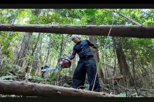 YouTubeチャンネルを開設した元TOKIOの山口達也。1本目の動画ではセルフカメラでの撮影に苦戦しながら、関東近郊にある荒れた山の整備を手伝う映像を投稿（YouTubeより）