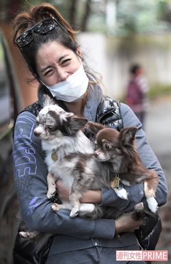 ペットを抱えながら直撃取材に答える森泉