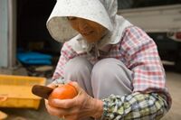 【おばあちゃんの知恵袋50】物価高騰でも食費は下げられる!先人に学ぶ節約生活「使いきる」「長持ちさせる…
