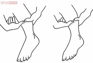 【むこうずねもしっかりほぐす】1.すねの横を下から上に押しもみ（画像左）　2.すぐ横のラインも下から上に押しもみ（同右）　イラスト／赤松かおり