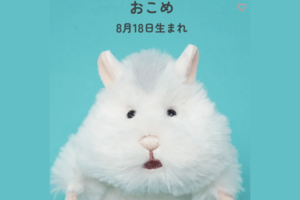 話題の『はむにぎり』(LIVHEART公式サイトより)