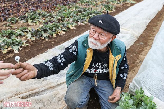 イタリアのそら豆、ファーベの花を「ホラ!食べてみて」　撮影／齋藤周造