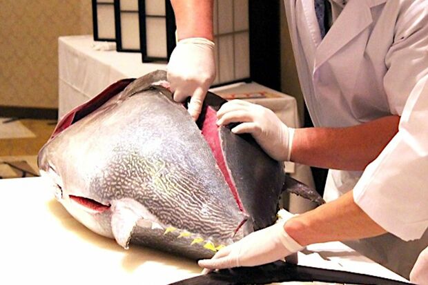 写真はイメージです