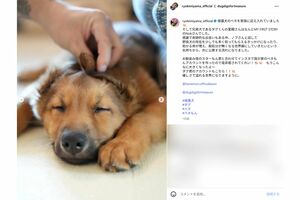 新しい家族を紹介した三山凌輝（本人インスタグラムより）